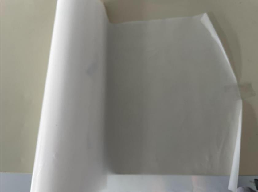 午夜电影网站机