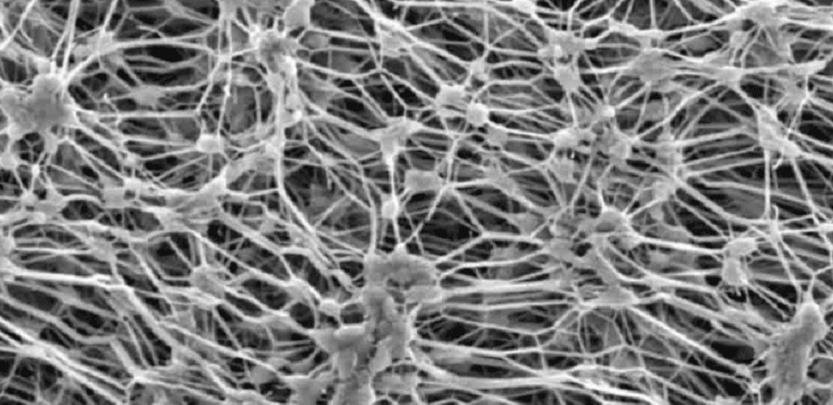 午夜电影网站机