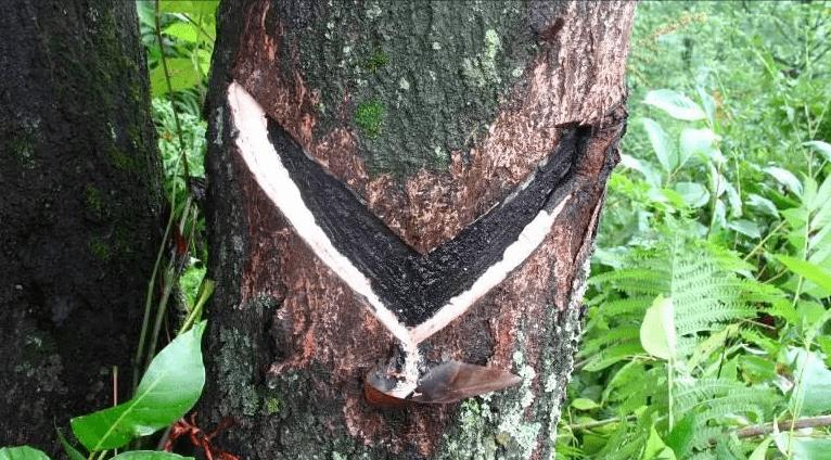 午夜电影网站机