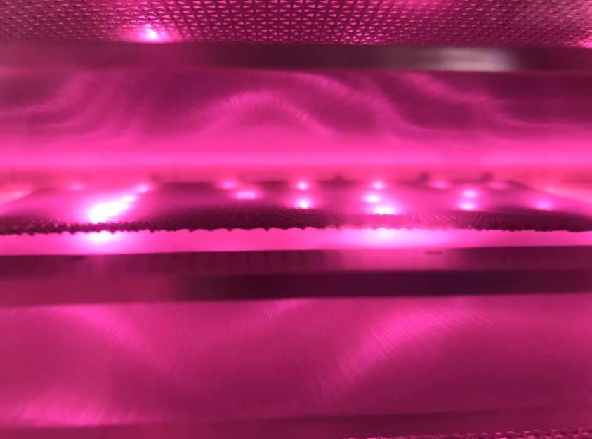 午夜电影网站机