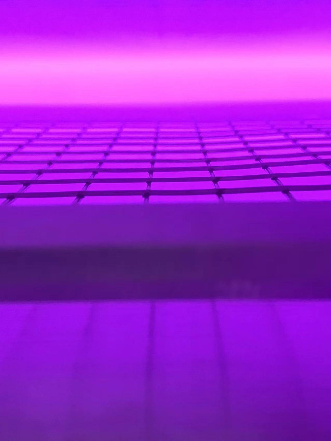 真空午夜电影网站机