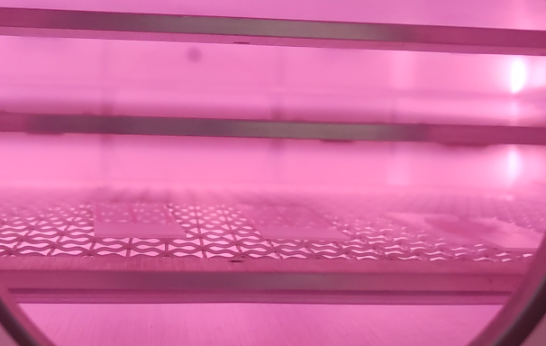 午夜电影网站机