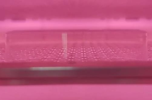 非标午夜电影网站机