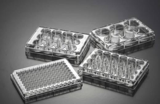 低温日本午夜福利视频APP酶标板