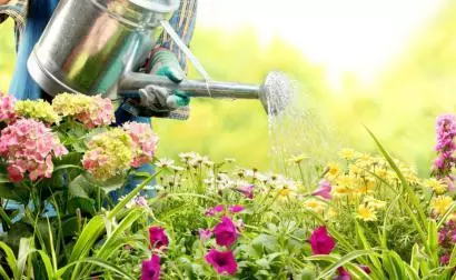 恩师所至，师恩所存-午夜精品久久久等离子