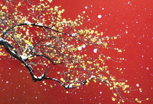 今日腊八，午夜精品久久久午夜电影网站机祝大家节日快乐