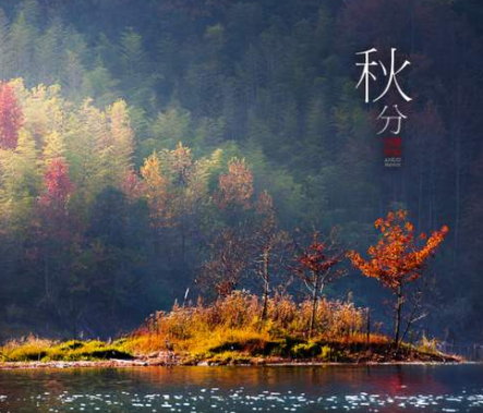 2020秋分-午夜精品久久久午夜电影网站机